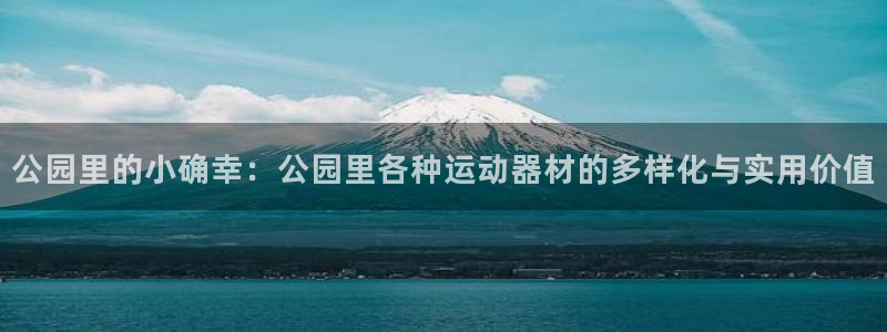 凯捷体育平台：公园里的小确幸：公园里各种运动器材的多样化与实