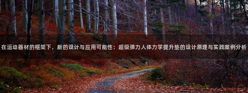 凯捷体育集团简介：在运动器材的框架下，新的设计与应用可能性：