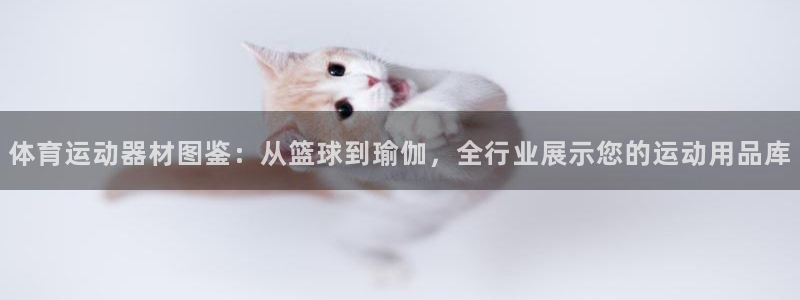 凯捷体育娱乐：体育运动器材图鉴：从篮球到瑜伽，全行业