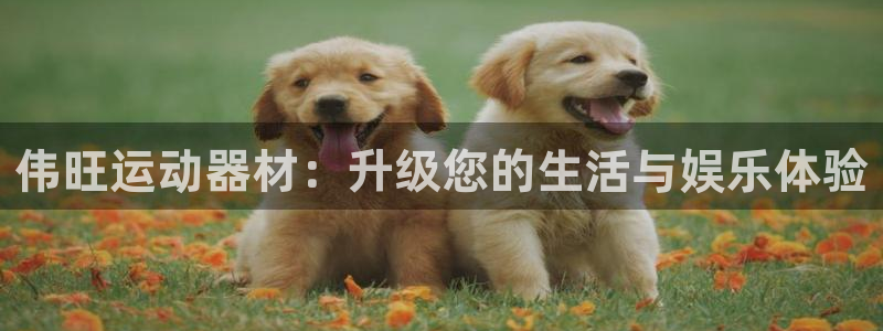 凯捷体育平台是正规平台吗知乎：伟旺运动器材：升级您的