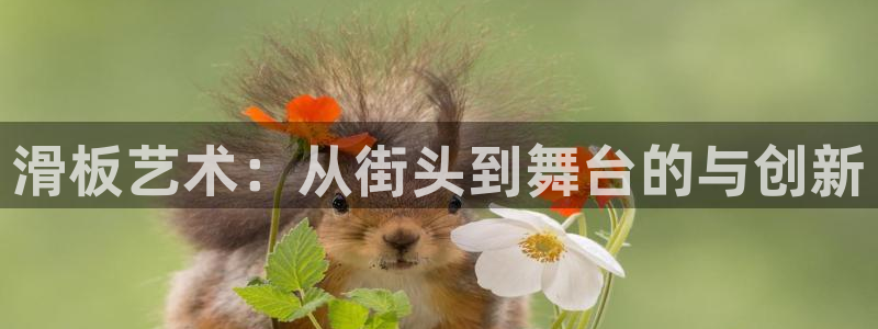 凯捷体育平台注册：滑板艺术：从街头到舞台的与创新