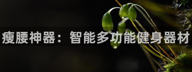 凯捷体育招商电话号码是多少号：瘦腰神器：智能多功能健