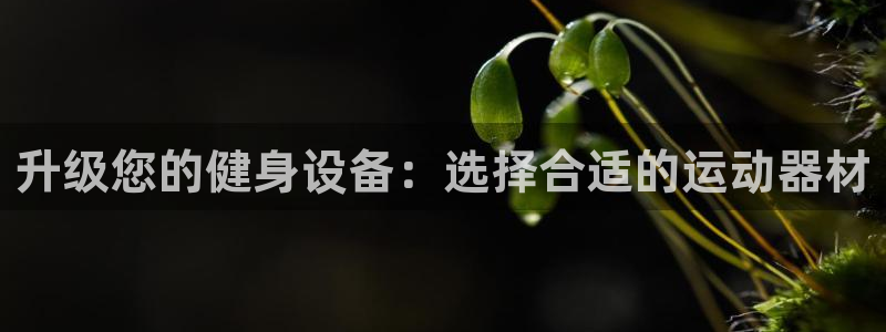 凯捷体育招商电话是多少啊：升级您的健身设备：选择合适