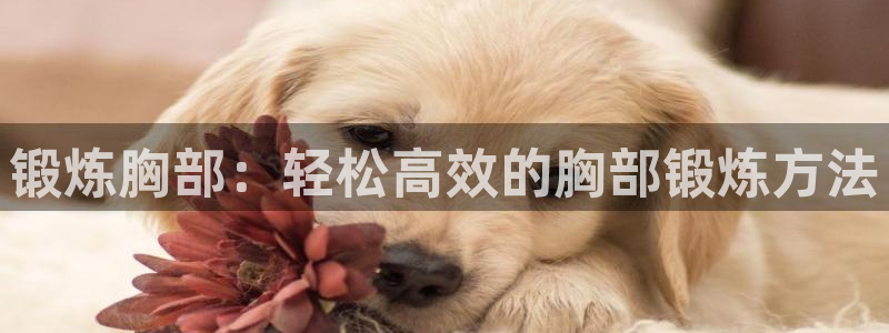 意昂平台体育：锻炼胸部：轻松高效的胸部锻炼方法