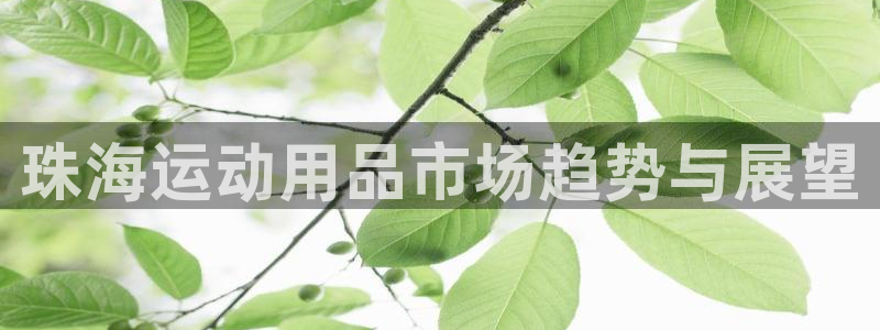 凯捷体育神州：珠海运动用品市场趋势与展望