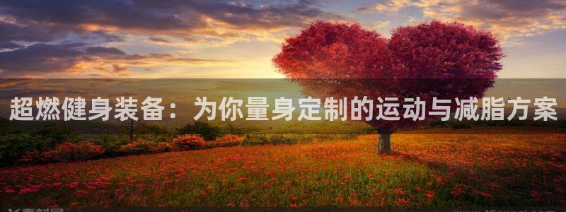 凯捷体育招商电话地址：超燃健身装备：为你量身定制的运