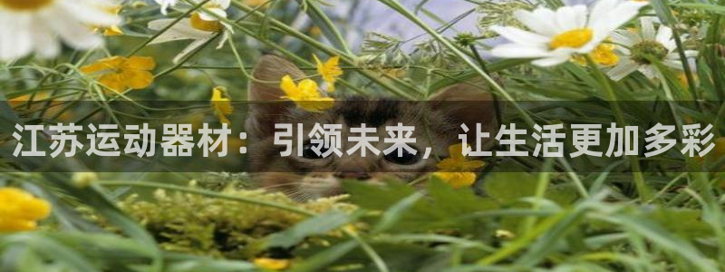 凯捷体育娱乐首页网站大全：江苏运动器材：引领未来，让