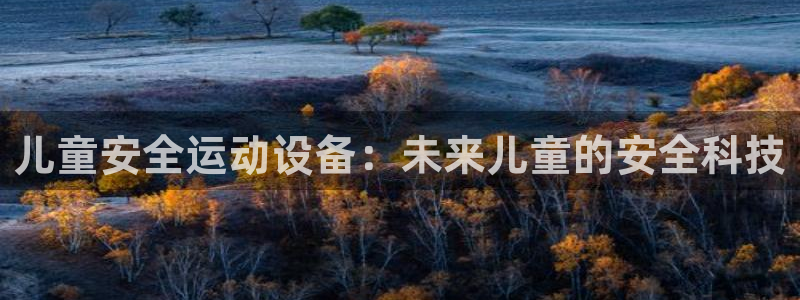 凯捷体育招商电话地址查询：儿童安全运动设备：未来儿童