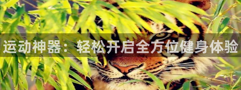 凯捷体育平台是正规平台吗：运动神器：轻松开启全方位健