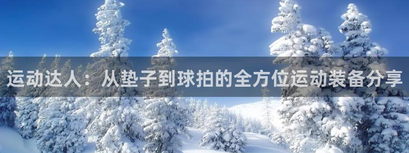 凯捷体育是干嘛的公司：运动达人：从垫子到球拍的全方位运动装备