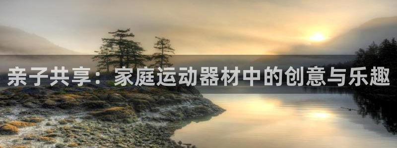 凯捷体育娱乐首页网站大全:亲子共享:家庭运动器材中的创意与乐